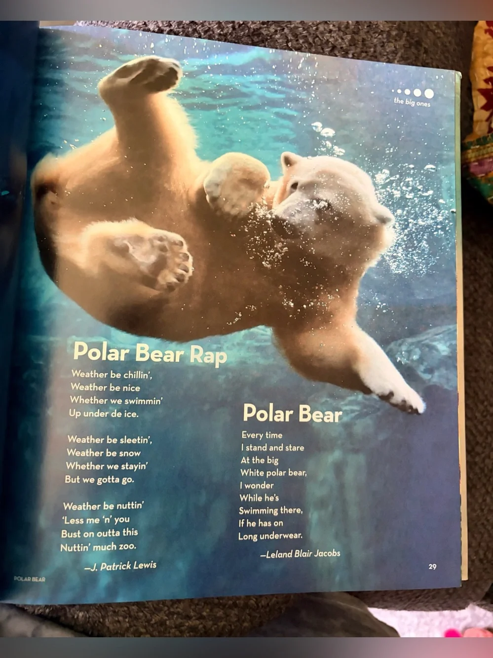 National Geographic Book of Animal Poetry